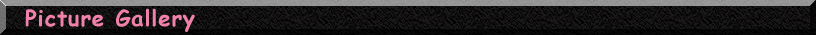 Productdesc